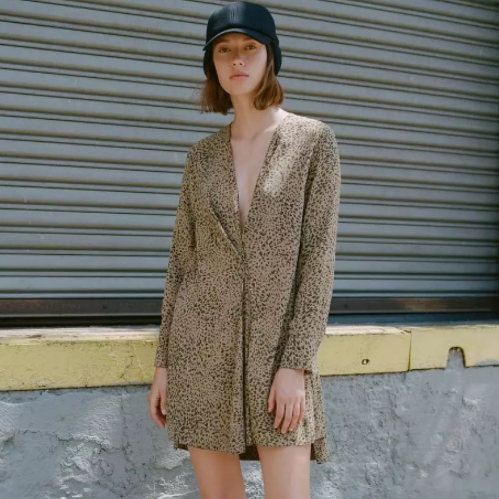 Rag & Bone Leopard Print Shields Dress